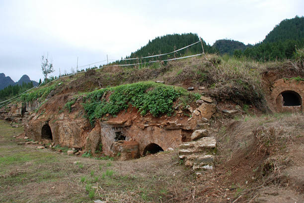 富林地板天料木_朵蘭木地板_吉象地板尊木