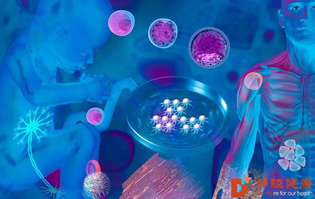 生物头条：探索生命科学领域的最新动态
