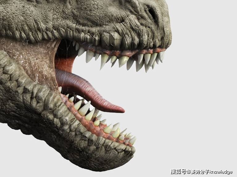 原创25亿只霸王龙科学家研究表明历史上一共出现过这么多恐龙杀手