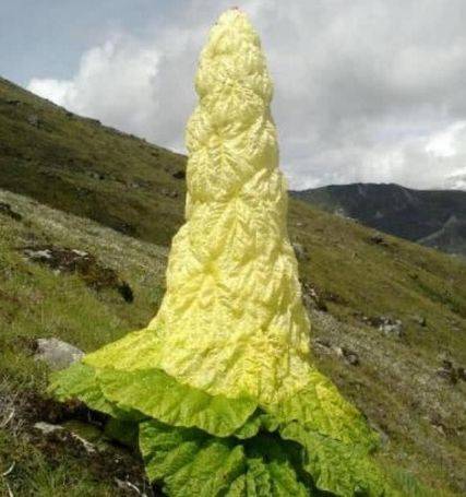 为什么有人说不能随便去五台山 248c7d461f3345f29b6d26ad5df66ec8.jpeg