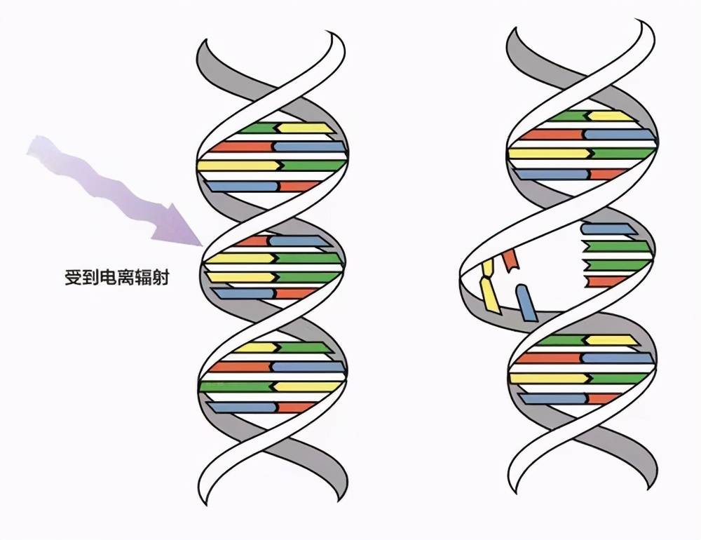 那就有一定风险引起基因突变，进而引发癌变或者引起后代基因出现问题。