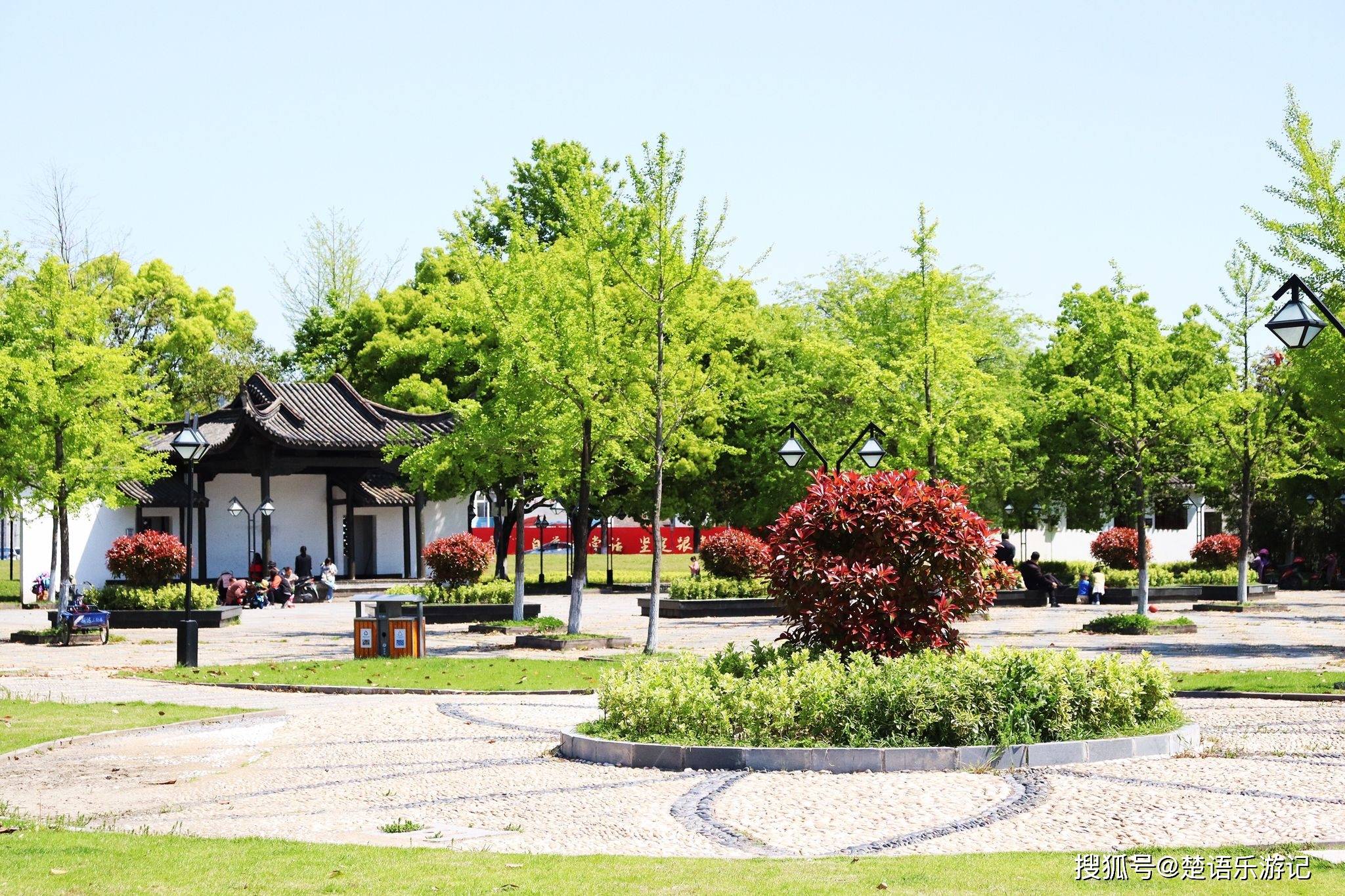 慈城有个被忽略的景点,像一个小"绿肺",林中藏着一个美丽书房_公园