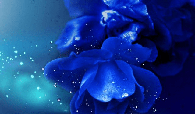 976536a895c44188a611d073d7499140.png