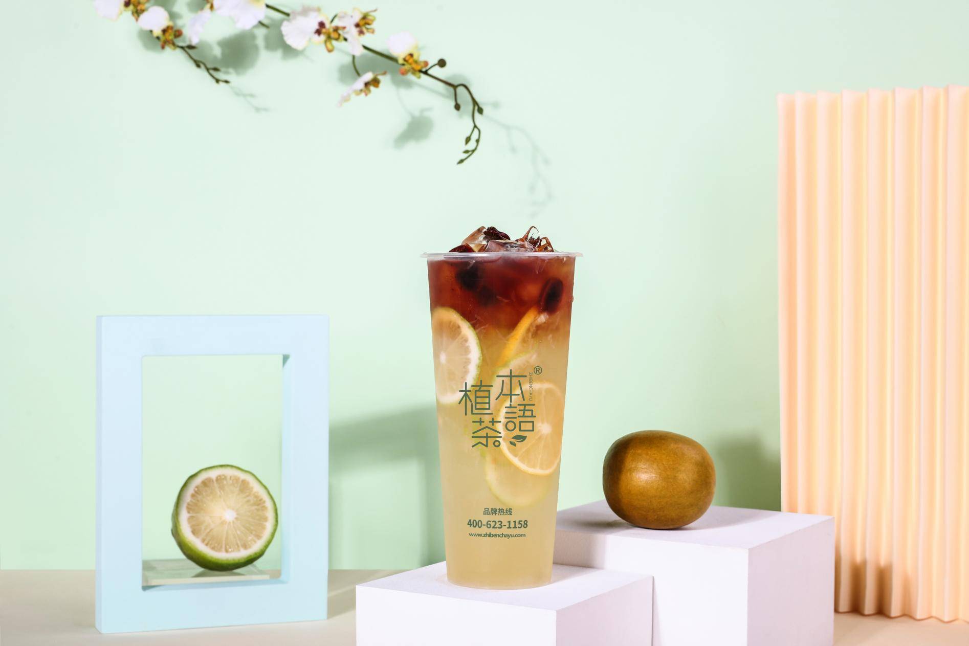 植本寻茶之旅开启养生探秘