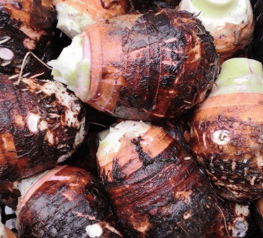 九个月可以吃芋头吗 42b5d77860584f869a9327b6e015ae55.png