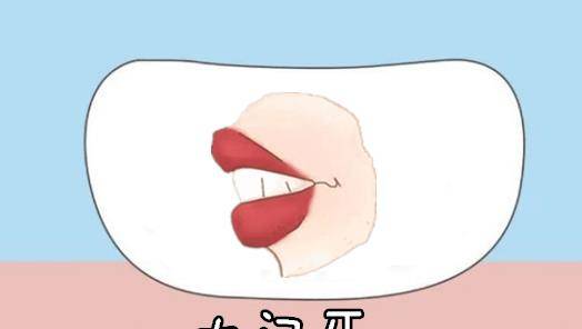 嘴弄舌什么成语_最大的嘴的成语是什么(2)