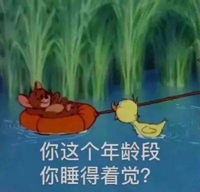 e9856cf20c884facab54b37fac321b51.jpeg