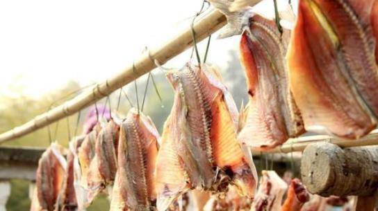 怎么晒鱼干最好 f2f892c8193944af8a92ea3cd348dfac.jpeg