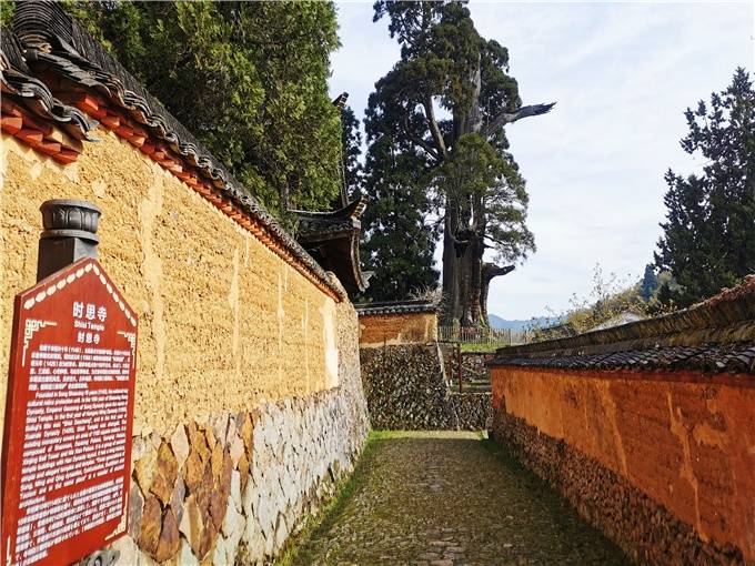 大漈"就在全国唯一的景宁畲族自治县海拔1030米的高山盆地内_时思寺