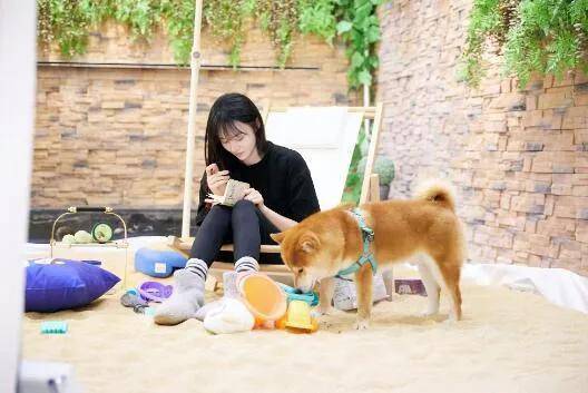 女人和狗简谱_我和我的祖国简谱(3)