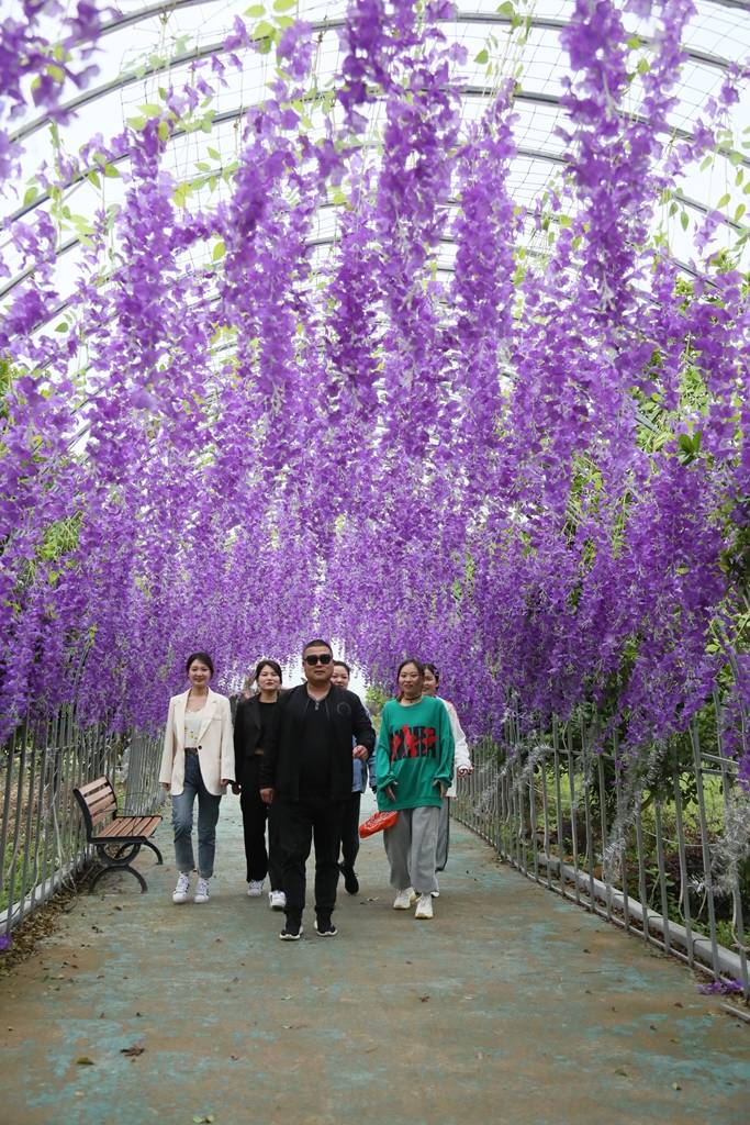 打造梦幻童话世界汝南东方神韵景区首届风车文化节5月1日开幕