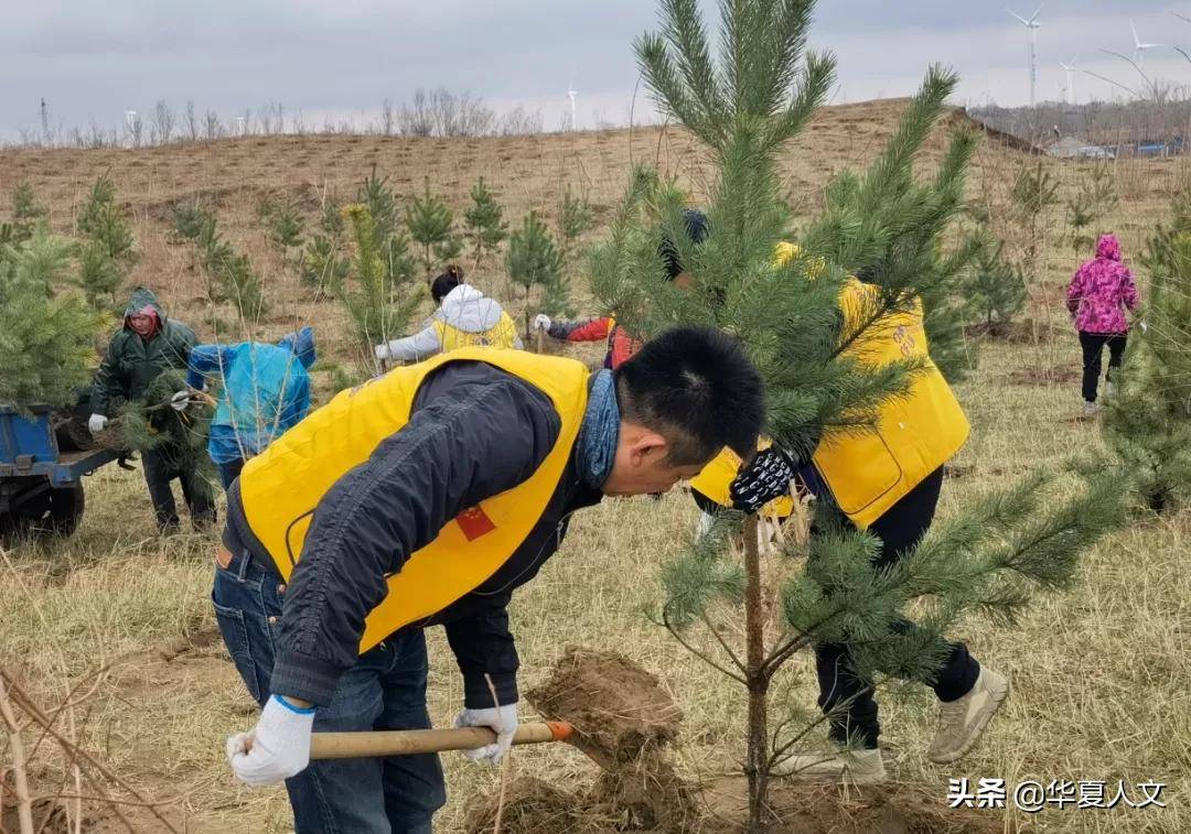 環境保護植樹造林六年征程瀋陽公益植樹再增800棵