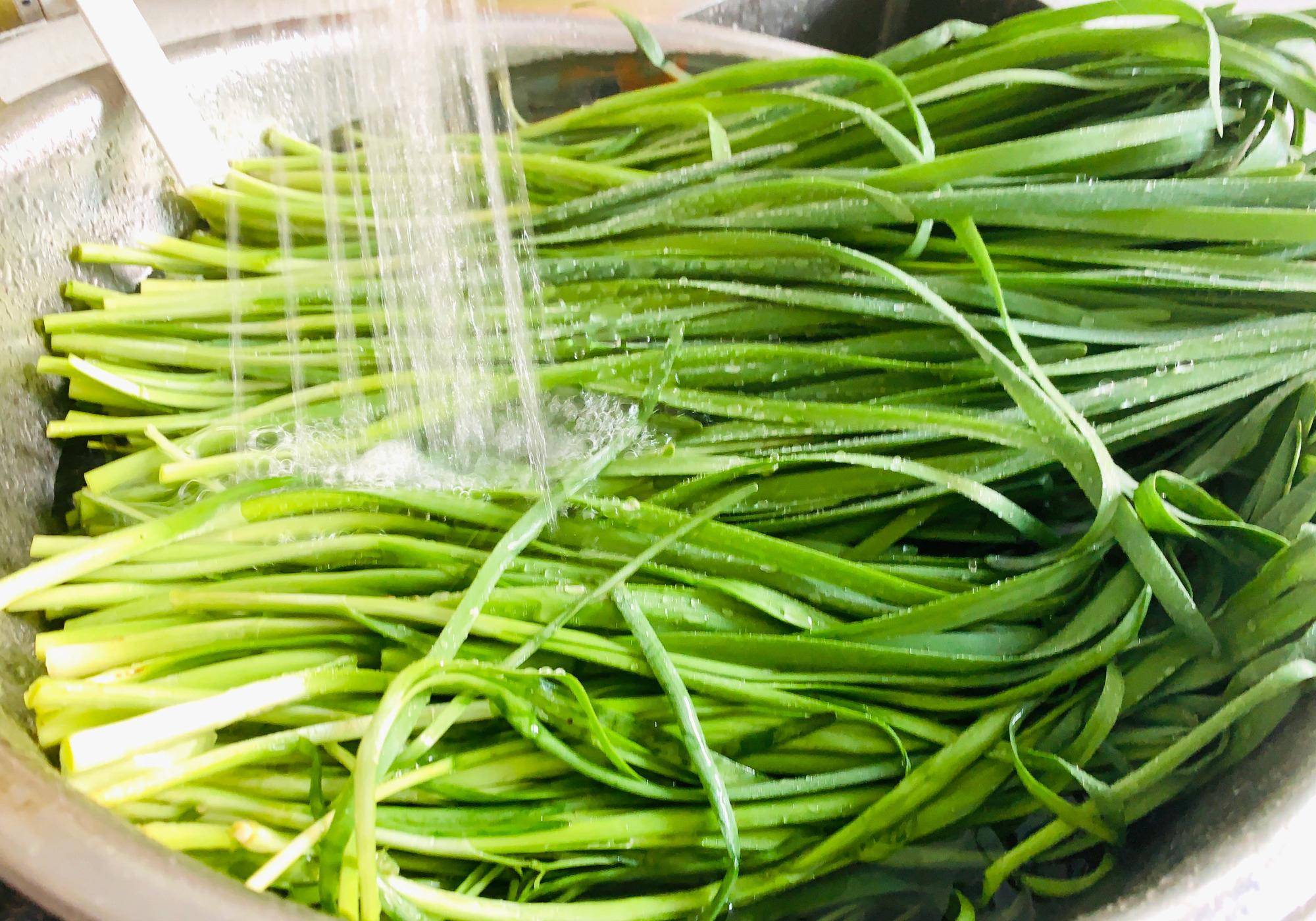 原创北方晚春韭菜才正鲜这样调馅儿无论做啥不出水不露馅还碧绿