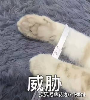 背后还有这些隐情?_小月