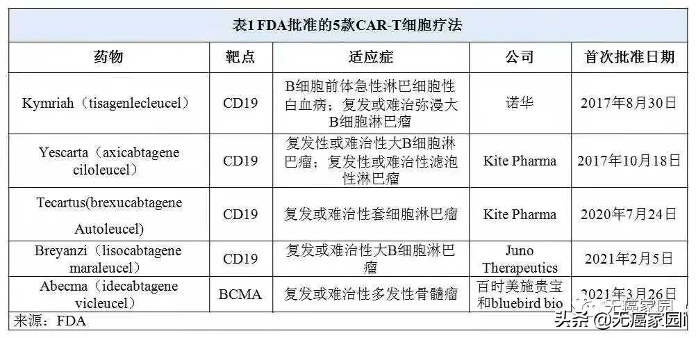 全球53 3 临床在中国 国产car T疗法发展势头强劲 造福晚期癌症患者 细胞