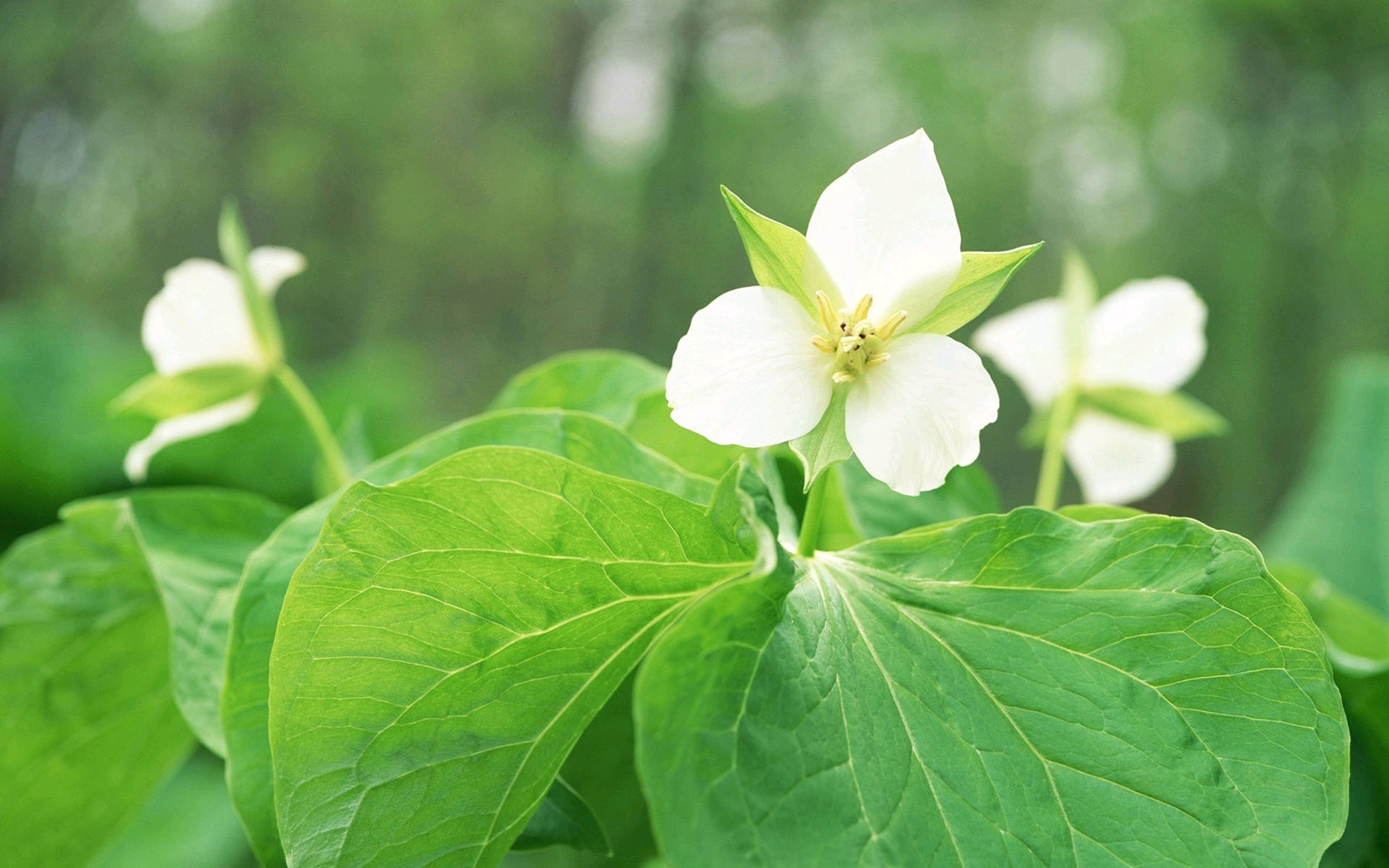 5月1日 31日星座运势 白羊座配合默契 水瓶座劳逸结合 感情