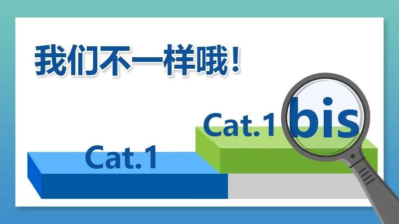 Cat.1的「火爆」後勁有多猛？「60%-30%-10%」的蜂窩物聯網格局會被打破麼？ 科技 第2張