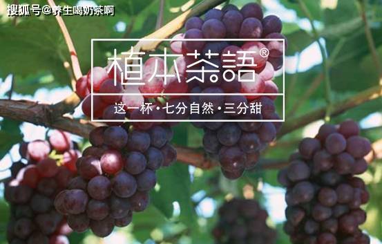 be57da20ecad421d83ef1b70321411de.jpeg