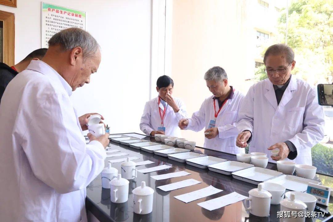 茶叶|培养工匠、赋能茶企,且看寿宁这场制茶能手赛!