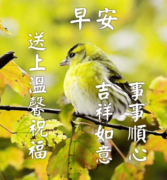 25332d93beef44fb964d1a56ea695b9c.png