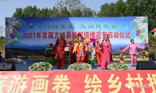 走进杨家庄又闻槐花香方城县拐河镇举办首届槐花节