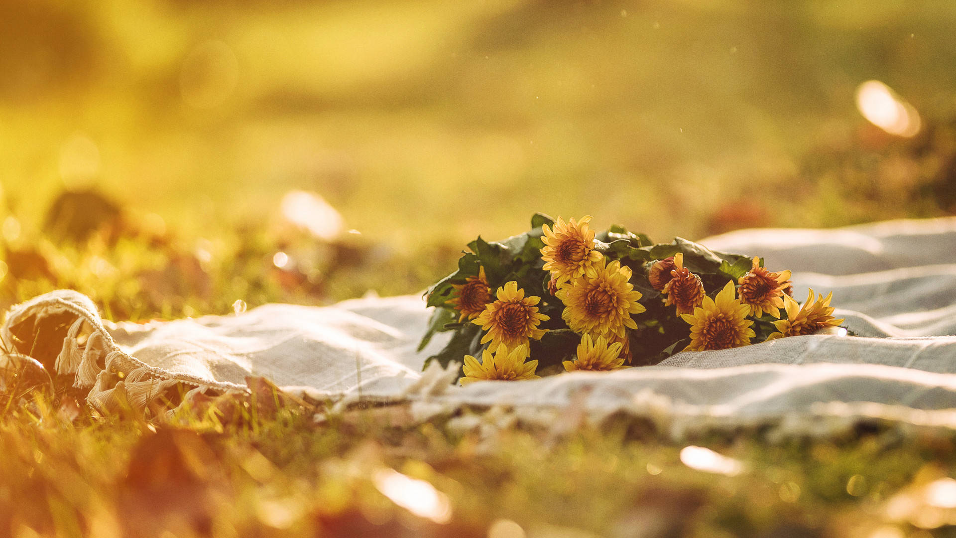 别傻了男人对这些事的态度就是对你的态度