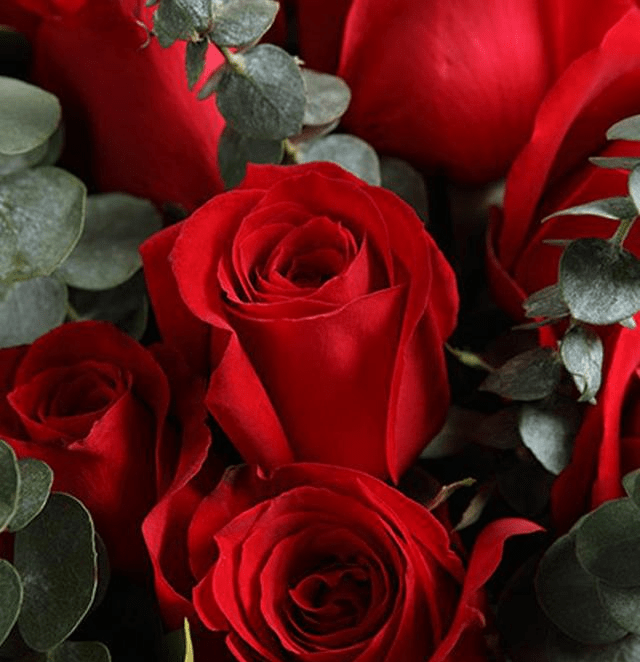 1970年属狗人要 大难临头 了 不跟你开玩笑 眷顾