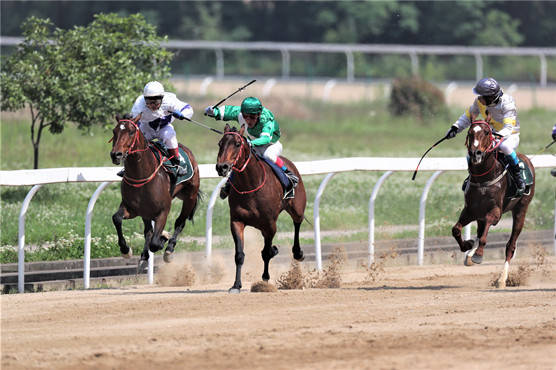 51國際勞動節賽馬日速度與激動的視覺盛宴再掀觀賽熱潮