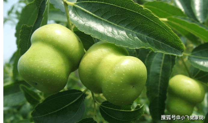 女性若不想當黃臉婆,經常吃幾種食物,皮膚嫩滑有光澤,抗衰老