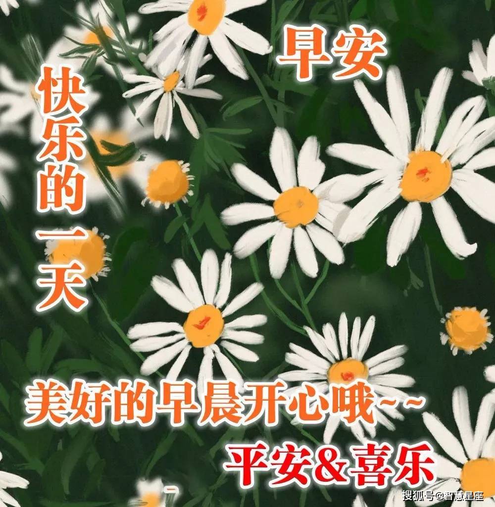 原创5月4日特别温馨的早安暖心问候语录早上好的暖心句子集锦