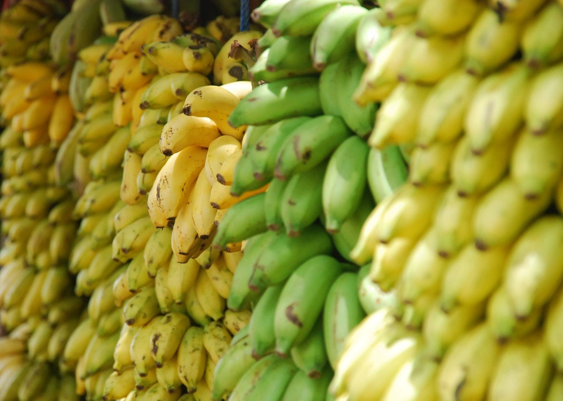  "Deliciously Simple Banana Recipe with 2 Bananas: Perfect for Breakfast or Dessert!"