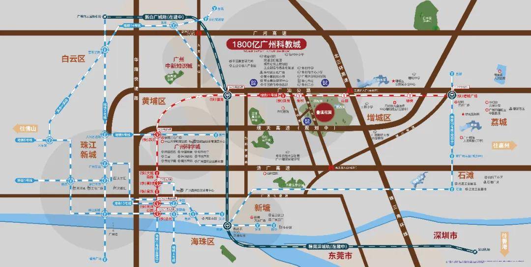 黄埔区五里桥街道总人口_广州黄埔区街道划分图(3)