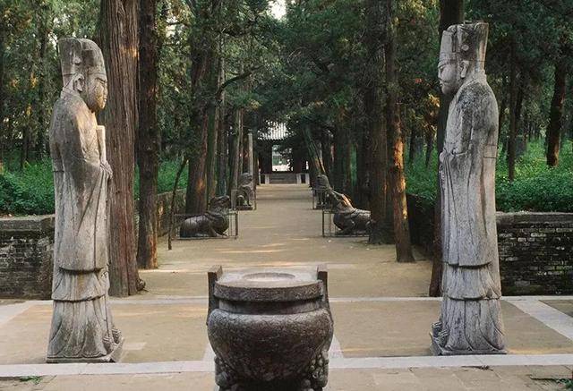 孔子家族墓地孔林为什么乌鸦不落蛇鼠不侵