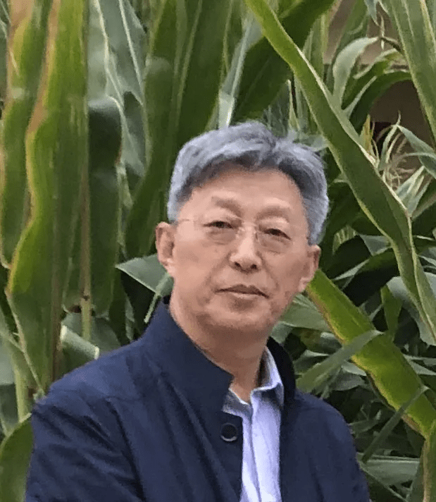 潘英琪丹青追梦水墨本色中国当代书画名家个人云展览