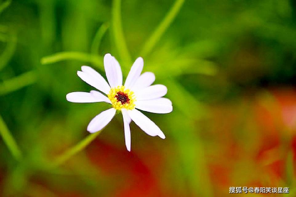 将生活的希望寄托于他人的陪伴与填充,才不会总在聚散离合中心怀忐忑