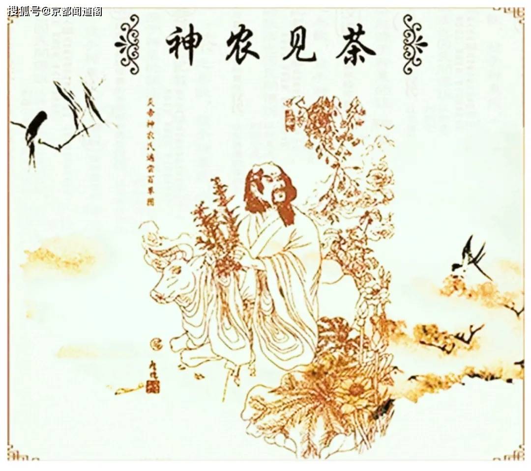 原创复旦首次公布人体经络影像证实茶对归经感最强，遭中医黑围攻
