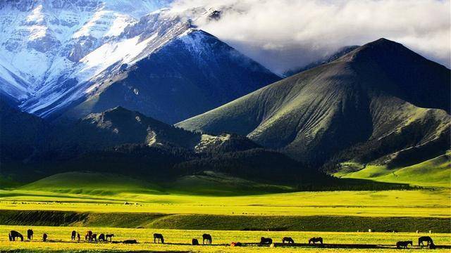 现在可以去新疆游玩吗 3bf49552bd76410686115632aea8a107.jpeg