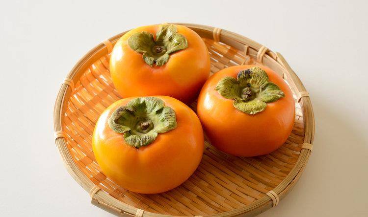 什么食物可以止拉肚子 99cc75e357e54a0c938a3002e9d3afa1.jpeg