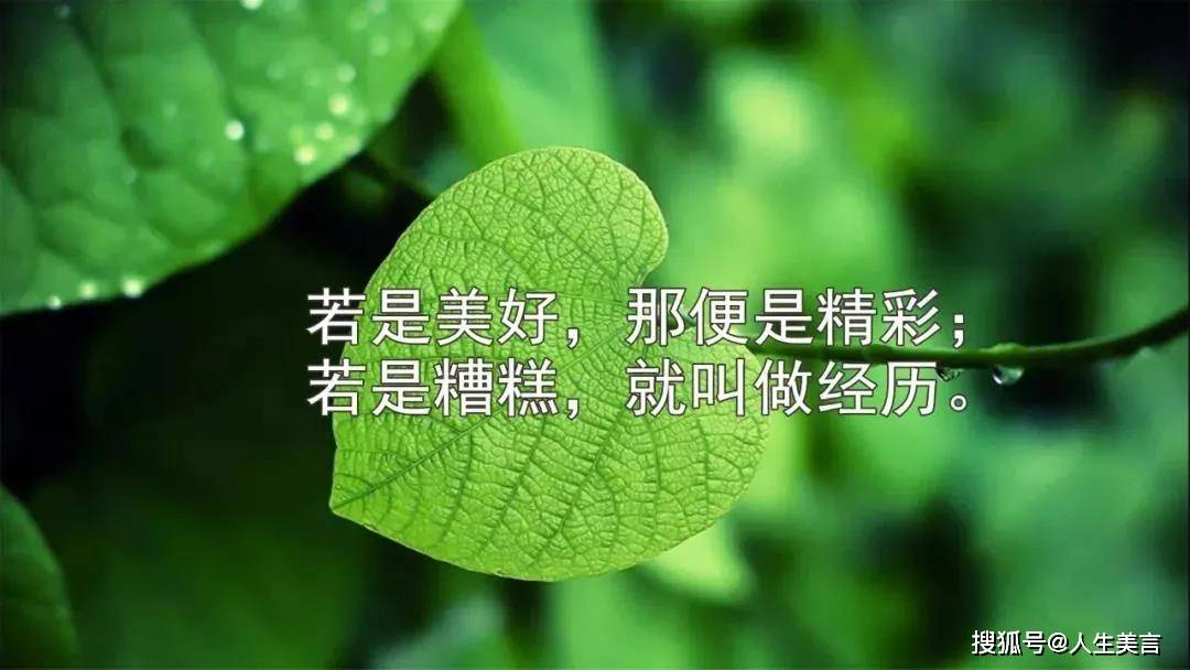 句句深入人心的经典句子:精辟有哲理,句句触心