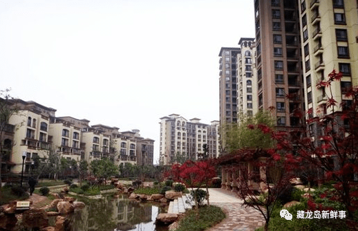 江夏藏龙岛一小区公布物业招标结果!8家物业公司参与报名!