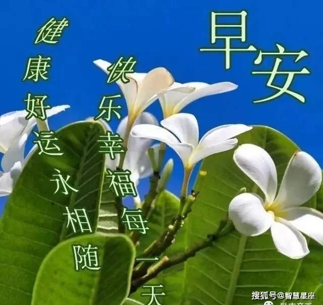 原創週一早上好早安祝福表情大全暖心話早上好問候語早安祝福語