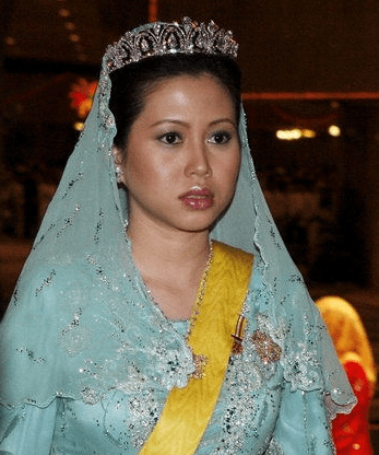文莱三王妃:美女记者出身比国王小33岁,被王后碾压宫斗失败离婚