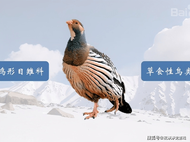 29a9d8c511464ec98c0a13c66ff2541f.png