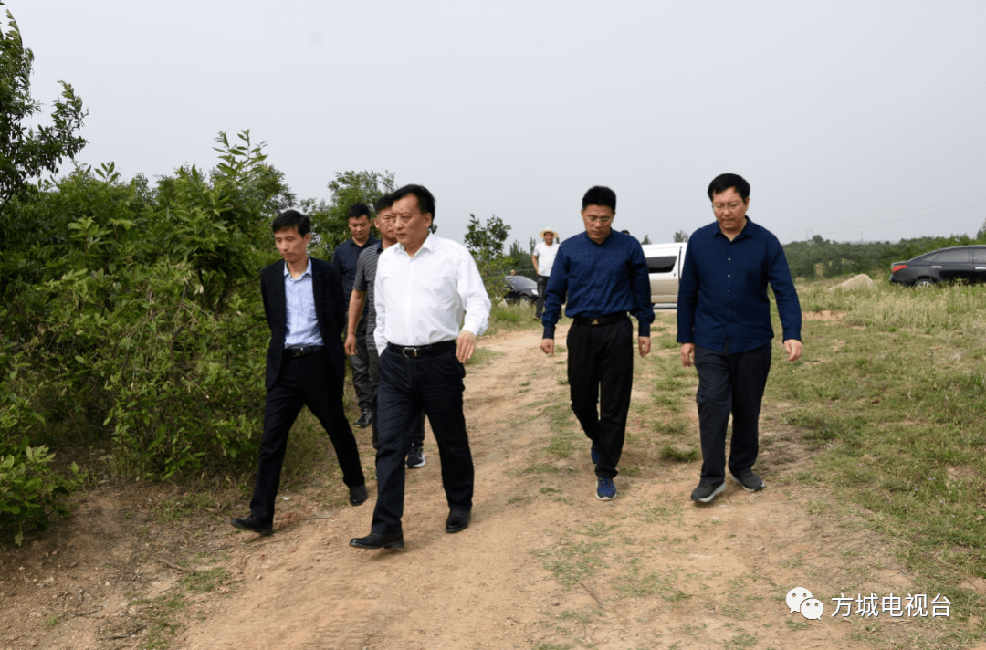 方城县委书记段文汉督导环保攻坚全域治理工作