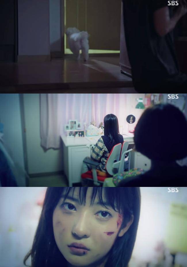 它一直咬吴允熙或许是认生,但也有观众认为小狗早