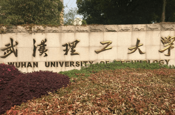 湖北省专科排行榜_新出炉!2021湖北高校排行:华师大高居第5,华科大逆袭登榜(2)