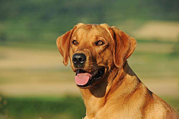 3cfb20a1f1aa442fa3c3b367970c536d.jpeg
