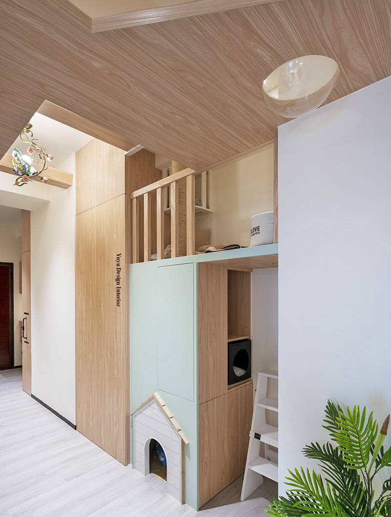 80㎡猫宅化住家，5人7猫1犬共居乐活_猫咪