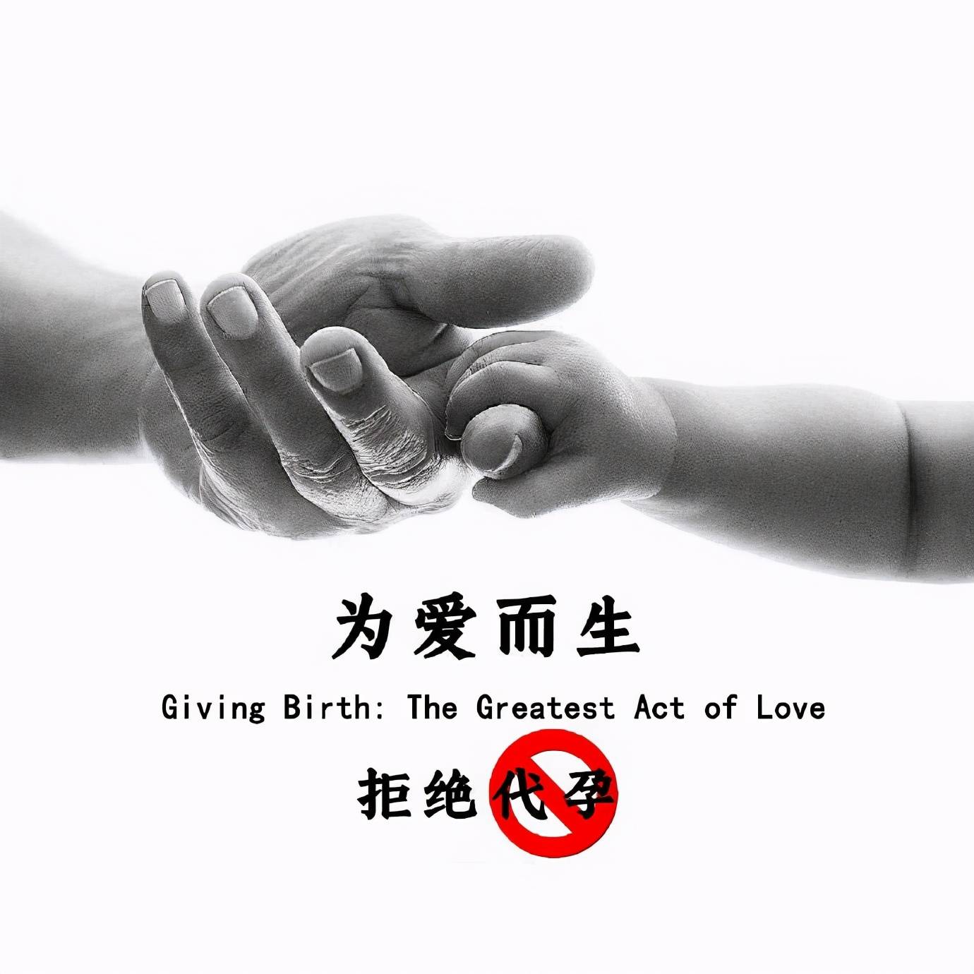 张恒深夜发长文,赢得孩子抚养独立决定权,并向孩子,家人等道歉