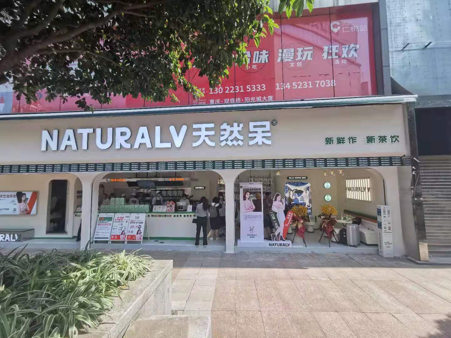 关晓彤的天然呆奶茶重庆首店开业啦